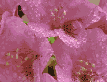 �������� �����������, ������� ����� ������������� �������