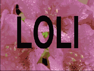 ��� ��������� ������������ �������������