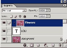 �� ���� ���� ������ �������������