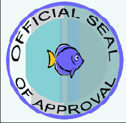 �������� �����, ���� ����������, � �� ���������