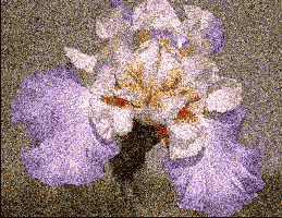 �������� ����� ����������