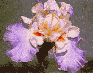 �������� ����� ����������