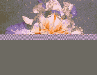 �������� ����� ����������