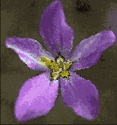 �������� ������� Filter > Stylize (�����������) > Diffuse (����������)