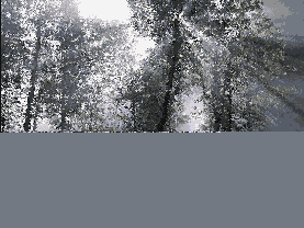 �������� ������� Filter > Stylize (�����������) > Diffuse (����������)