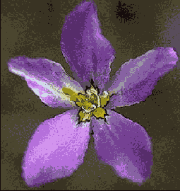 �������� ������� Filter > Distort (�������������) > Ripple (����)