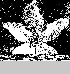 �������� ������� Filter > Artistic > Palette Knife