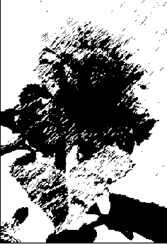 �������� ������� Filter > Artistic > Palette Knife