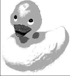 � ���� ������� ���� �������� ��������� ���������� R � G, ����� ��������� ������� ������ ������ �����