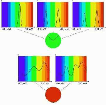 Color Management System (CMS)