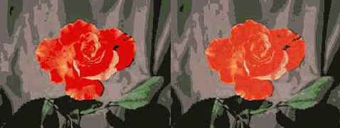 Color Management System (CMS)