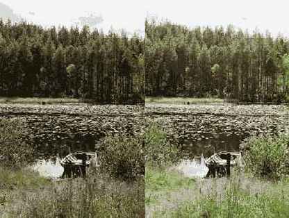 Color Management System (CMS)