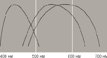 ��� �� ����� ����?