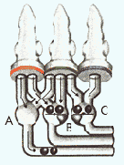 ��� �� ����� ����?