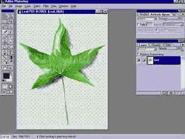 ��� ��������� ���� �� ������ ����