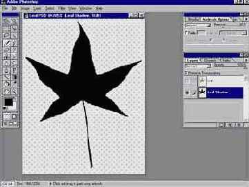 ��� ��������� ���� �� ������ ����