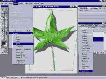 ��� ��������� ���� �� ������ ����