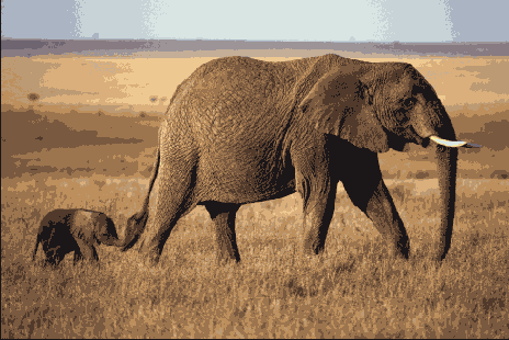 �������� ������ ���� � ��������