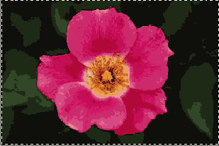 ���� ���� ����� ������� ������������