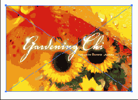 �������������� ������ ���������