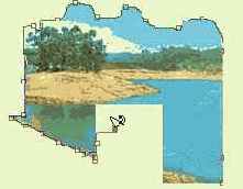 Палитра Options инструмента