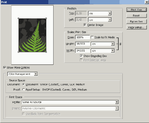 ���������� �����������