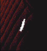 ������������������� ��������