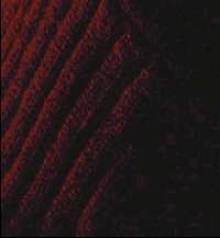 ������������������� ��������