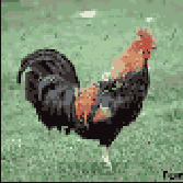 ��������� ������� � ������� Lab