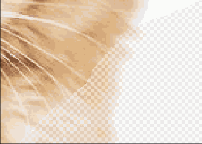 ���������� ��������