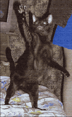 �������� ��������