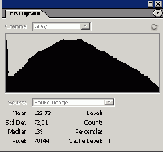 ������ �����������