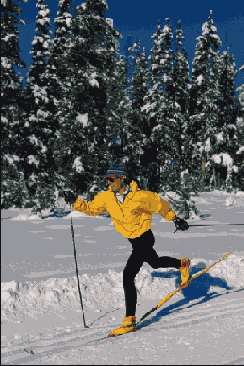 ���������� �������� �����