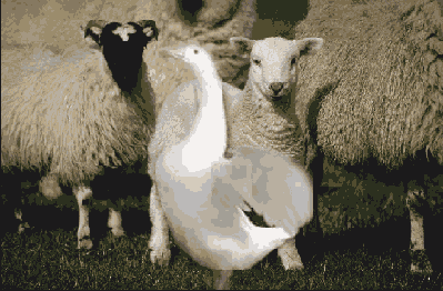 �������� ������ ��� ������ �����