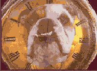 ���������������� ������� ����������� �����