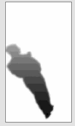 �������������� ����