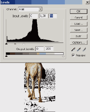 ������������� ������������ ����