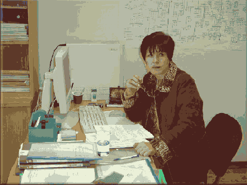 �������� ������� �����������