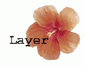 ���������� ���������� �����