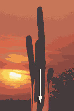 ���������� ����������� � ������� ������� Liquify