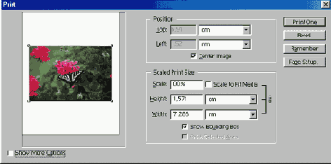 ���������� ���� Print with Preview