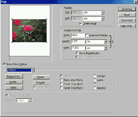 �������������� ����� ������