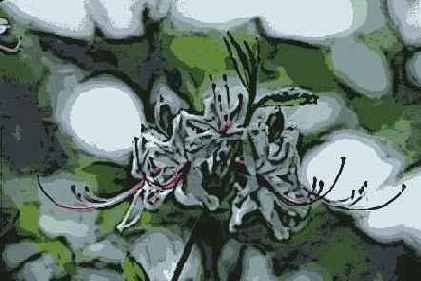 ������� ������� Artistic