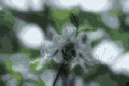 ������� ������� Artistic