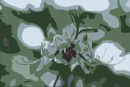 ������� ������� Artistic