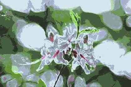 ������� ������� Brush Strokes