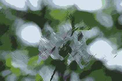 ������� ������� Brush Strokes