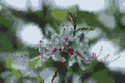 ������� ������� Brush Strokes