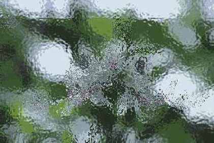 ������� ������� Distort