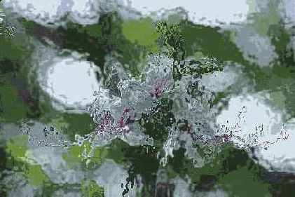 ������� ������� Distort